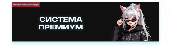 СИСТЕМА ПРЕМИУМ.png
